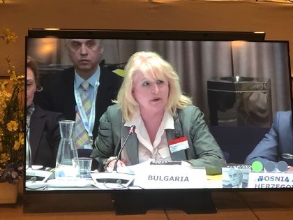 Bulgaria supports pan-European nature of Council of Europe